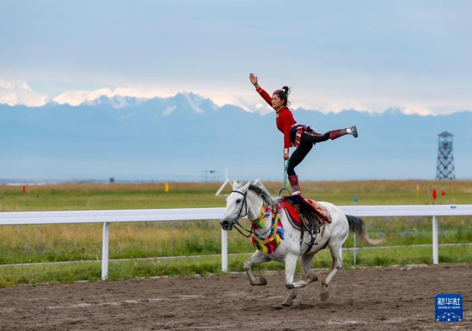 他还参与多 他还参与多