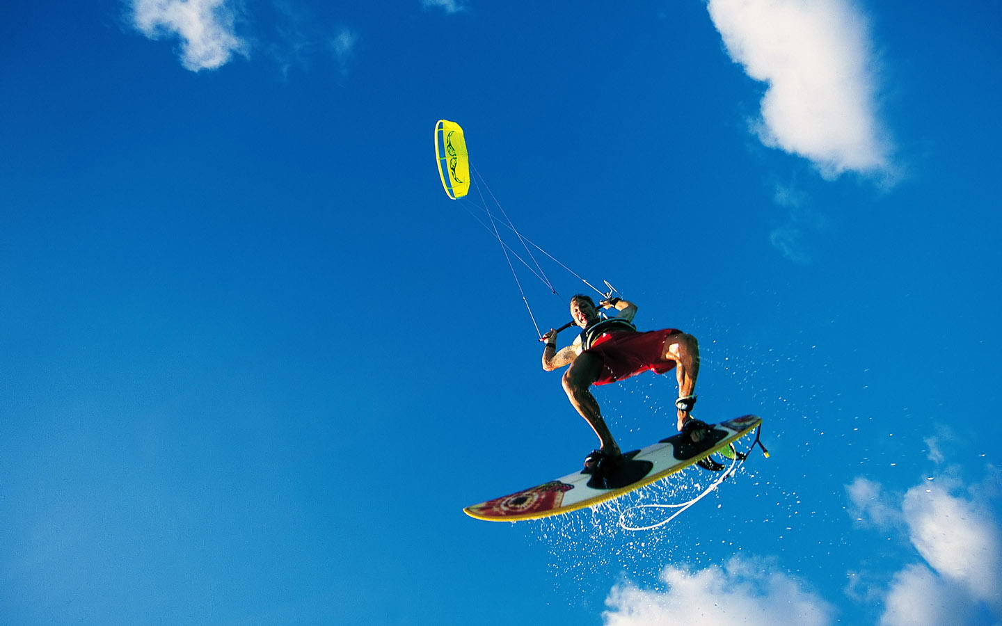 新鲜力量 新鲜力量