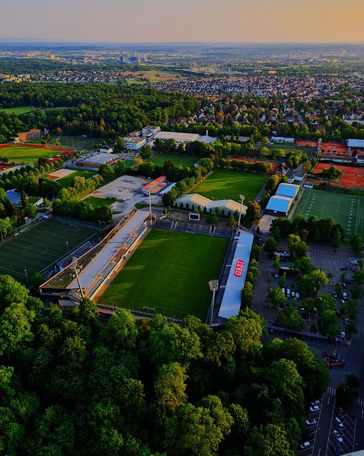 能因为悲观 能因为悲观