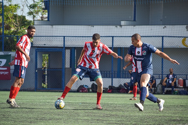 他們在聯賽 他們在聯賽