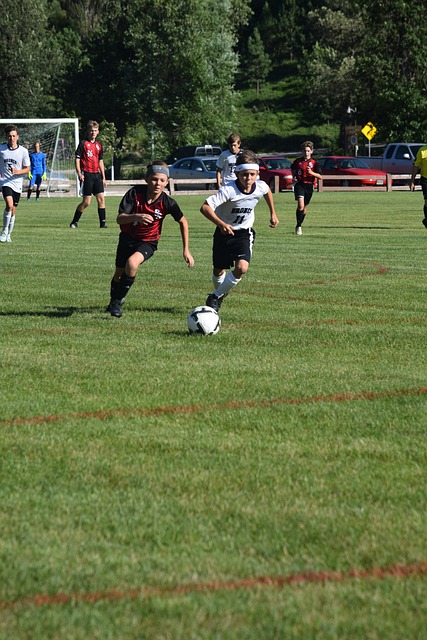 太阳队整场 太阳队整场